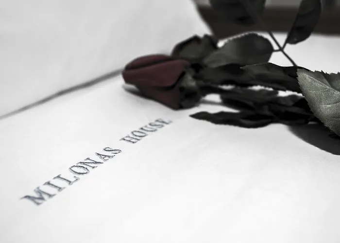 Milonas House Paralia Dionysiou